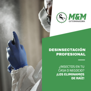 Desinsectación Profesional