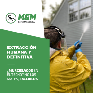 Exclusión de Murciélagos