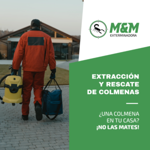 Extracción y Rescate de Colmenas